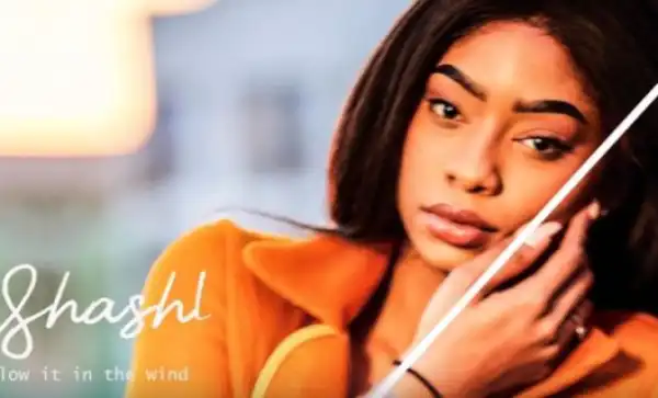 Shashl - Blow It In The Wind